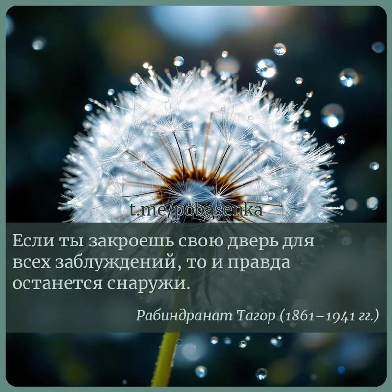 «Если ты закроешь свою дверь для всех заблуждений, то и правда останется...» height="550" width="550"