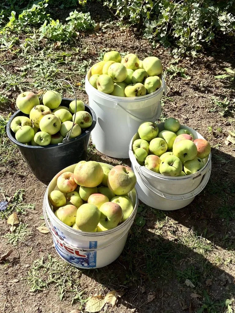 Про всё на свете с Гюзелью