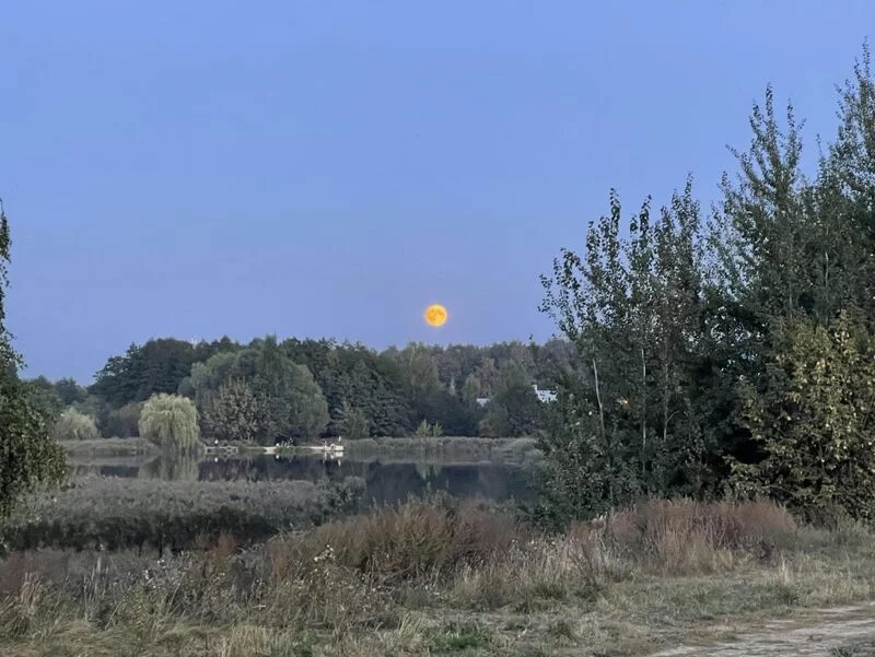 Чайная беседка