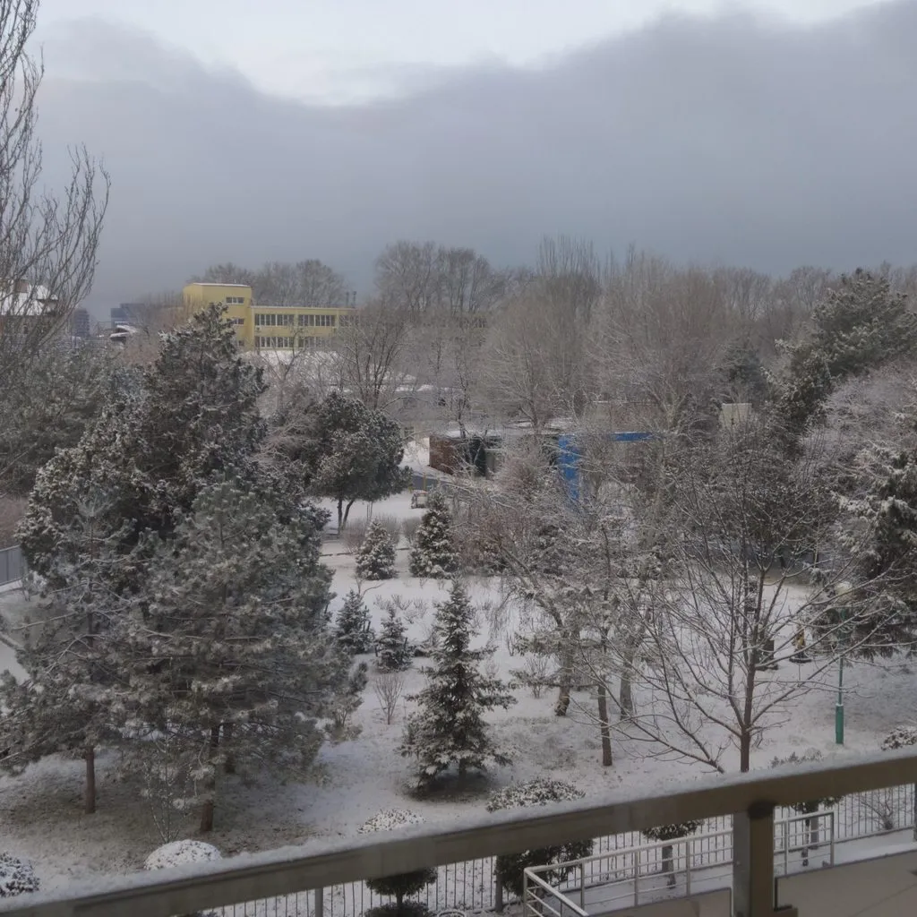 Чайная беседка