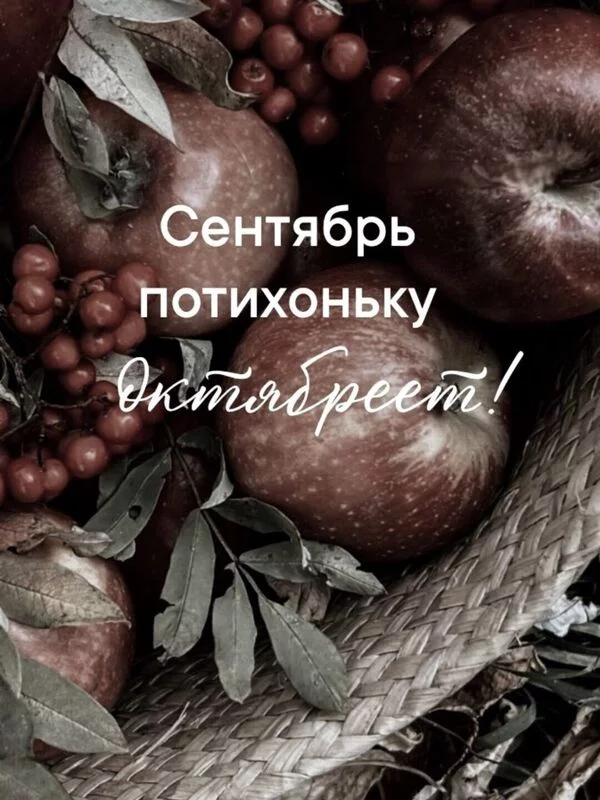 Кафе "У пани Сони"