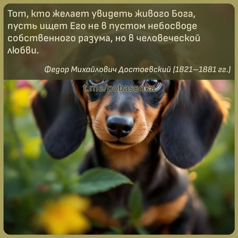 «Тот, кто желает увидеть живого Бога, пусть ищет Его не в пустом небосводе собственного разума, но в человеческой...» height="550" width="550"