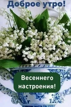 Кафе «У пани Сони»