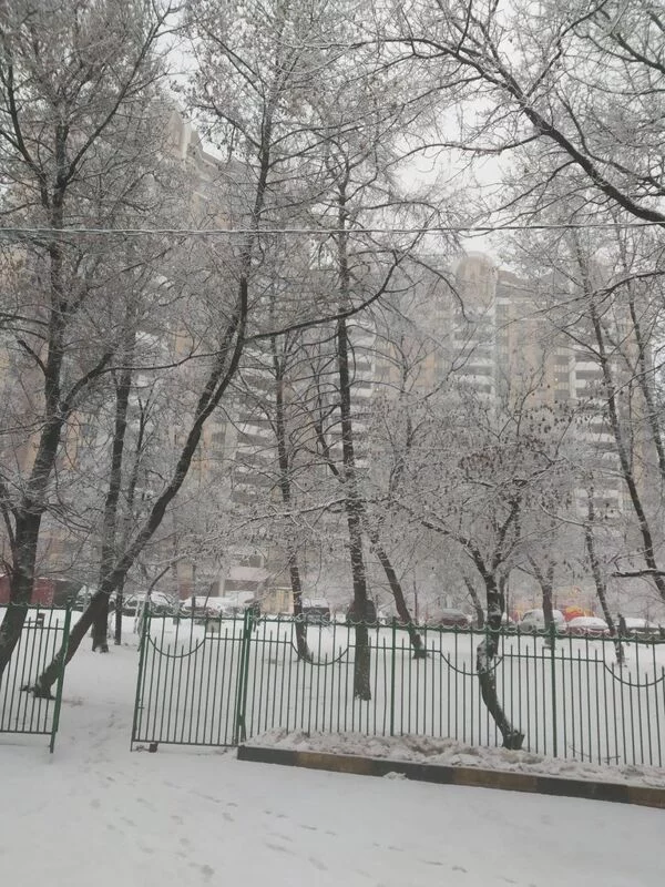 Чайная беседка