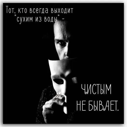 Лаконичная мудрость