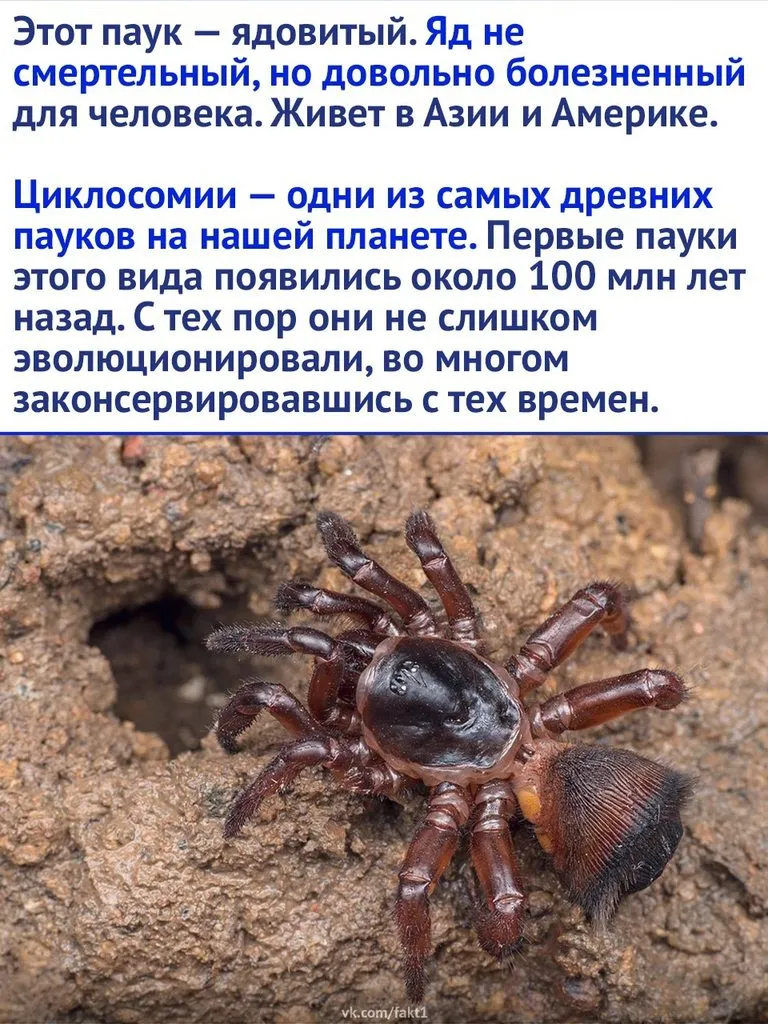 Это интересно!