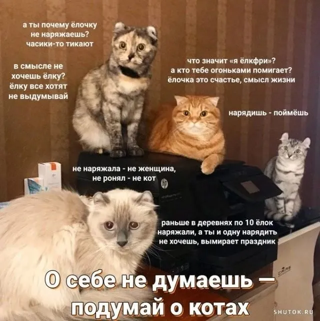 Посмеялся сам - поделись с другом!!!