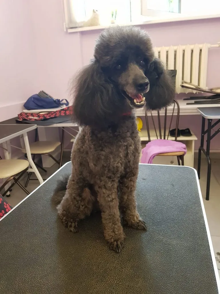 Чайная беседка