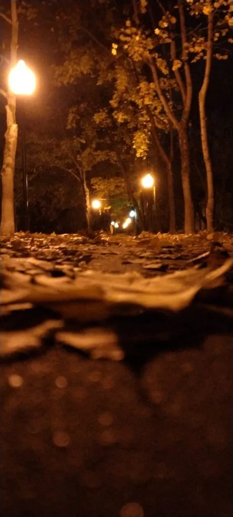 Чайная беседка