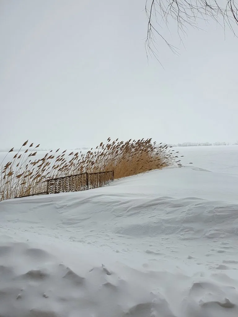 Фотонастроение