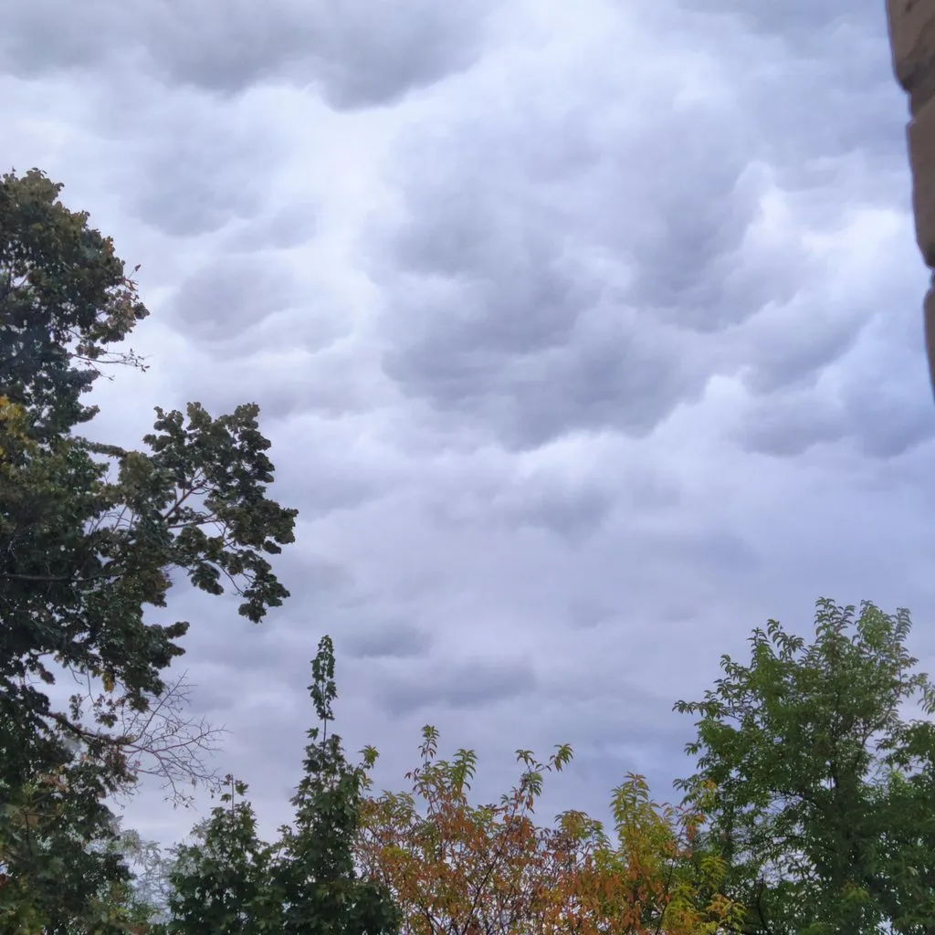 Чайная беседка