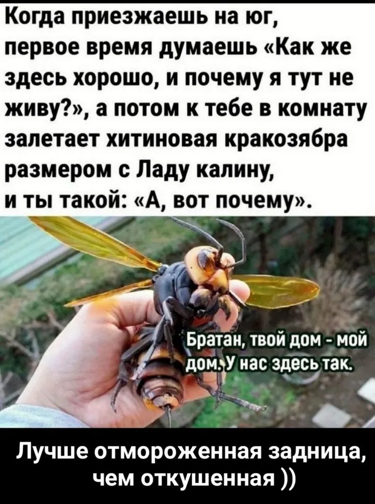 Посмеялся сам - поделись с другом!!!