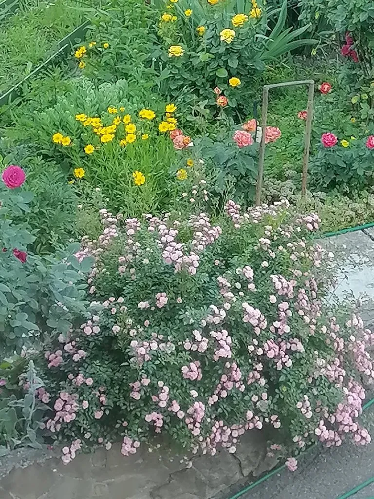 Чайная беседка