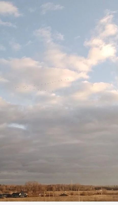 Такое разное небо