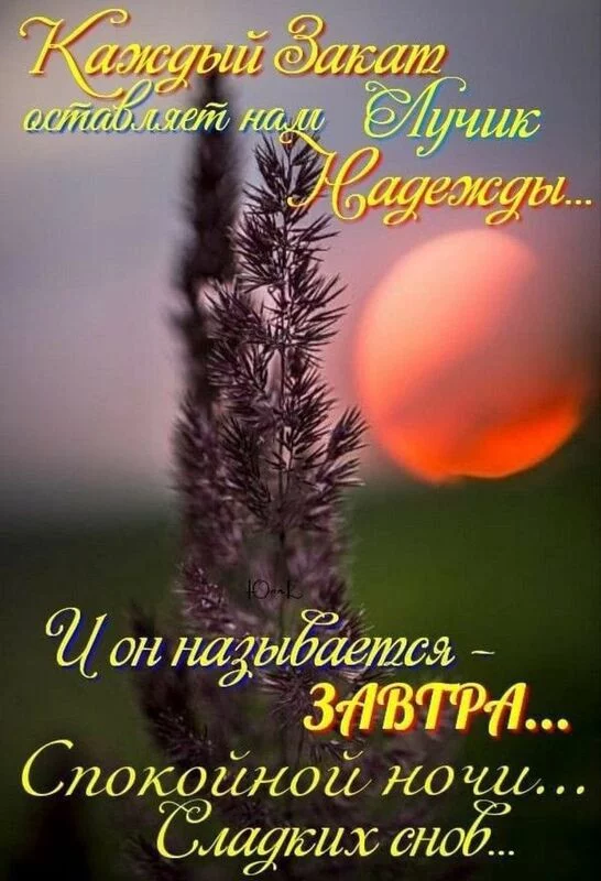 Кафе "У пани Сони"