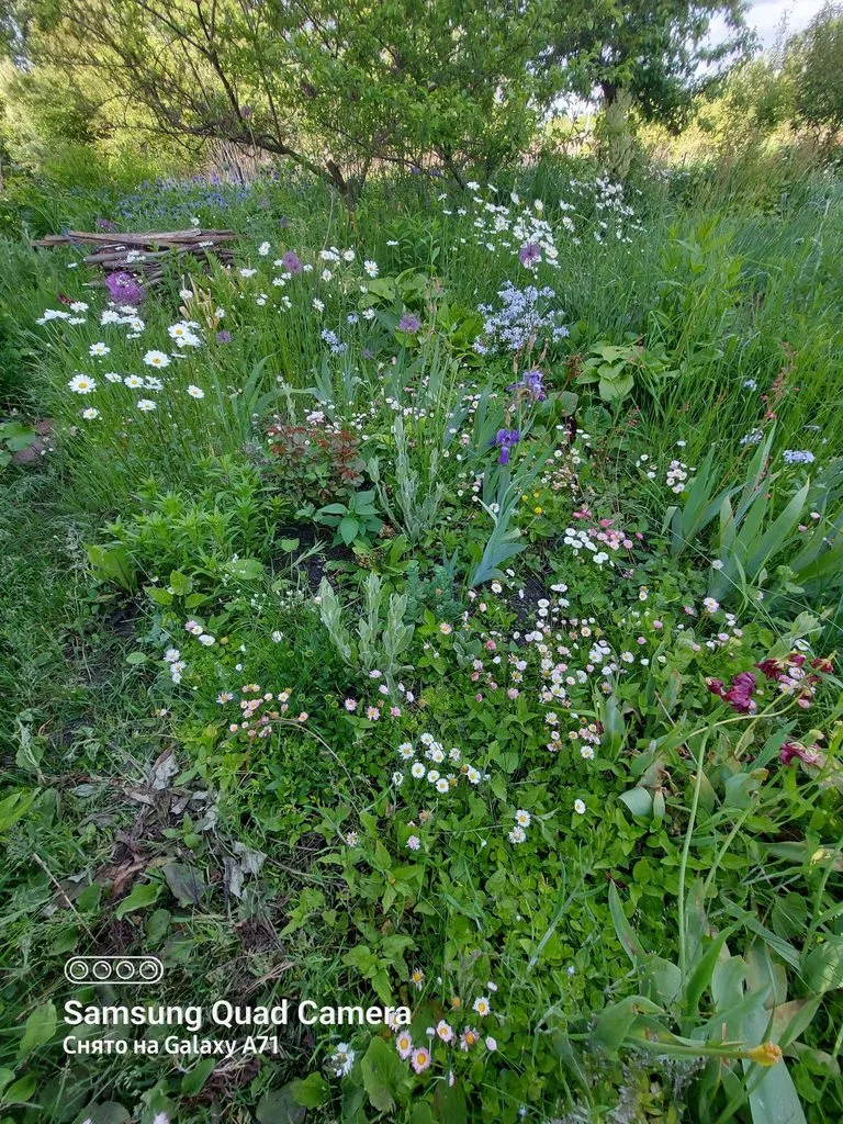 Чайная беседка