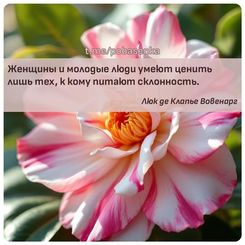 «Женщины и молодые люди умеют ценить лишь тех, к кому питают...» height="550" width="550"