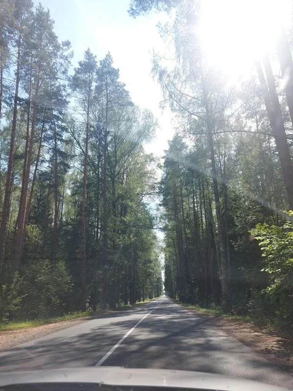 Чайная беседка