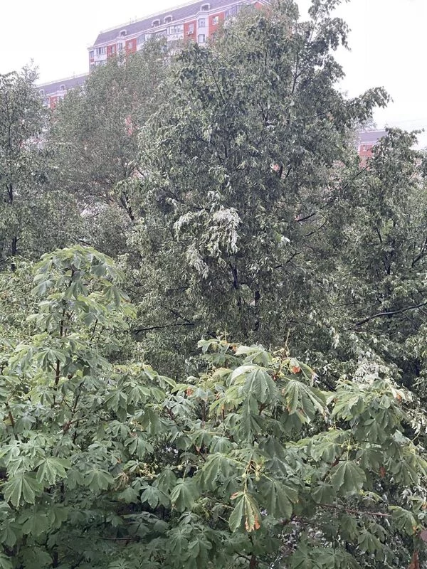 Чайная беседка