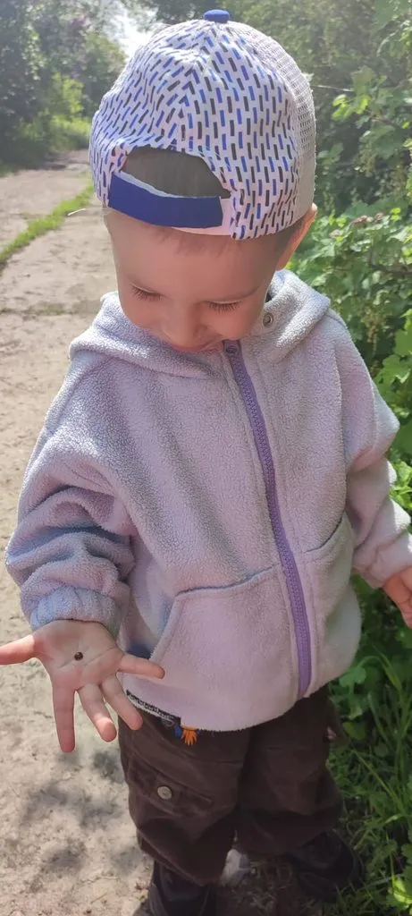 Чайная беседка