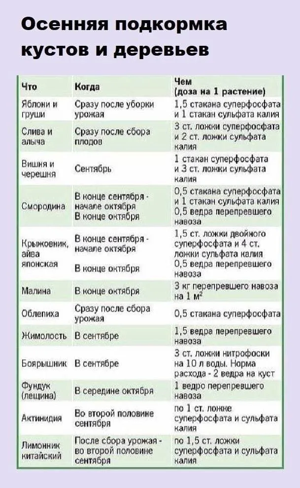 Сажаем, растим, собираем урожай…