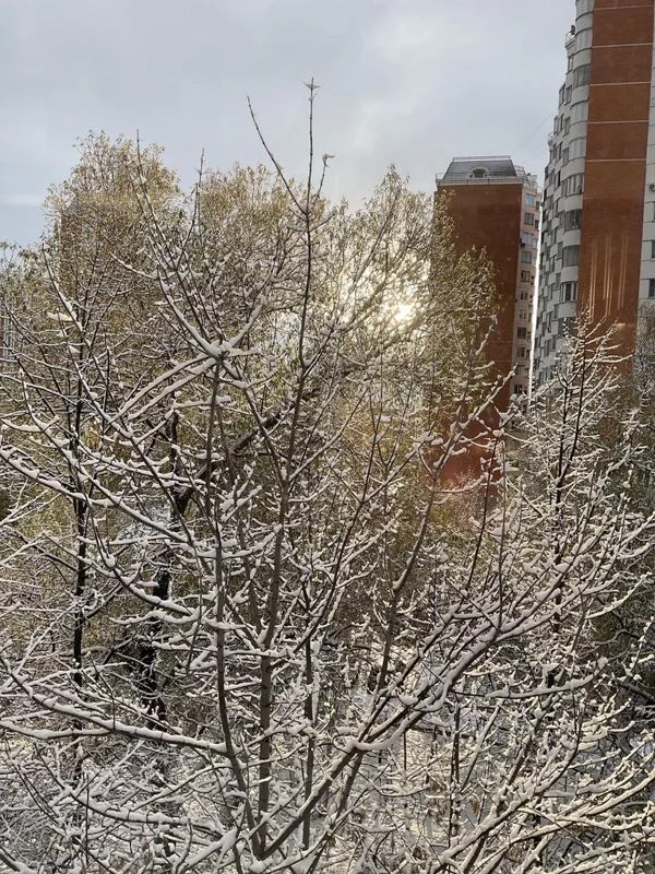 Чайная беседка