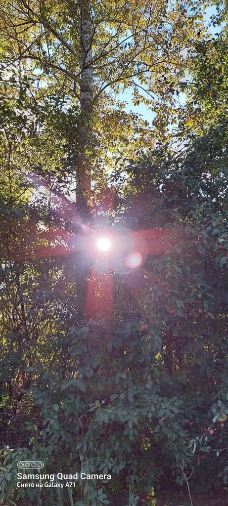 Чайная беседка