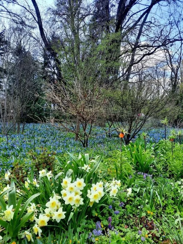 Чайная беседка