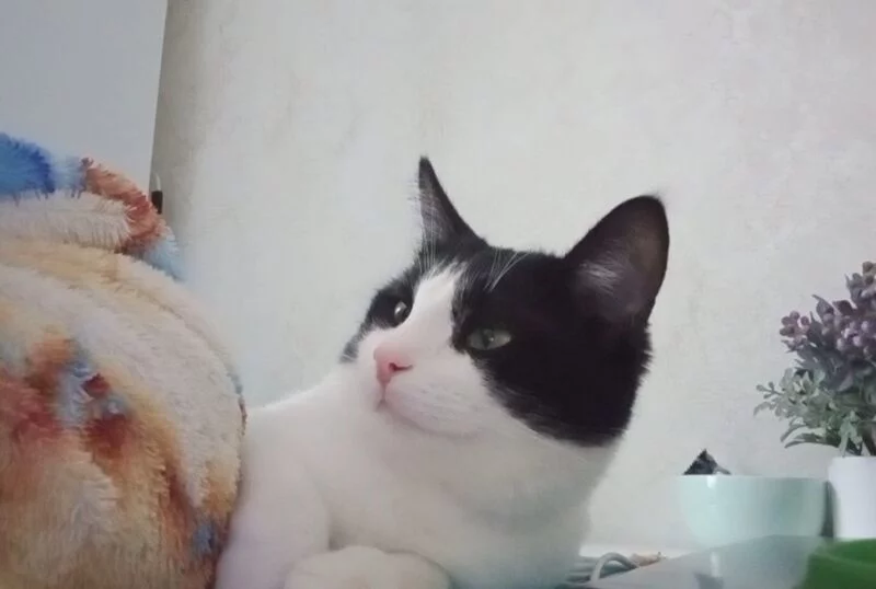 Новогодние поделки