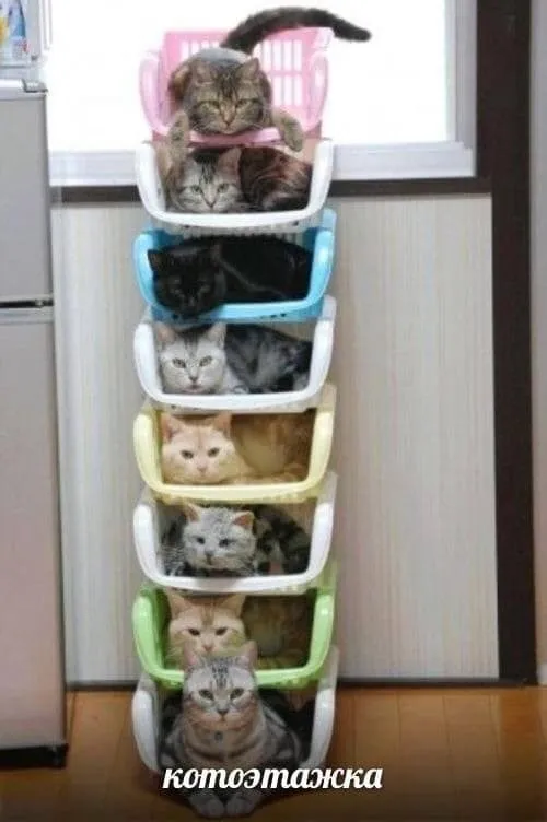 Посмеялся сам - поделись с другом!!!