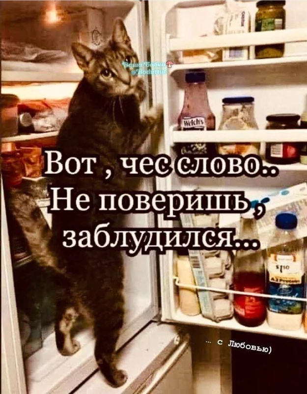 Кафе "У пани Сони"