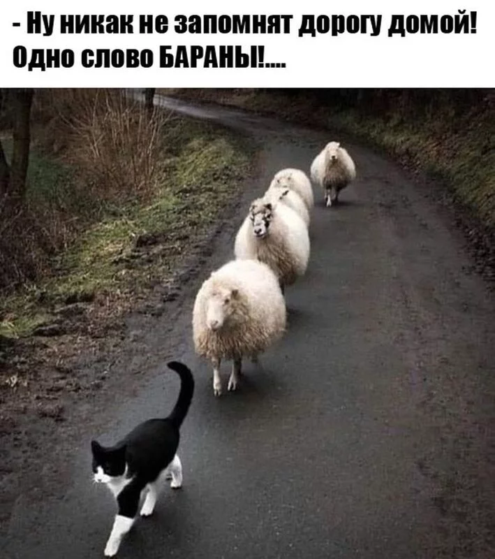 Посмеялся сам - поделись с другом!!!