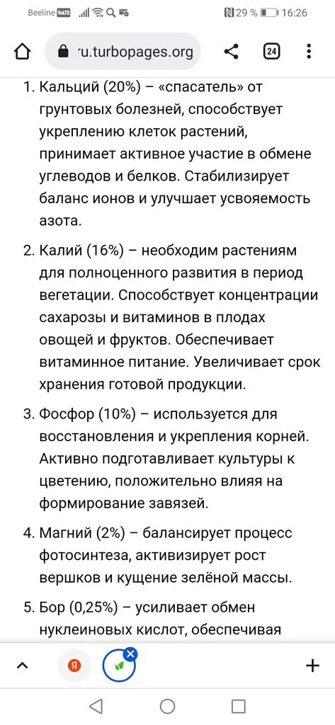 Чайная беседка