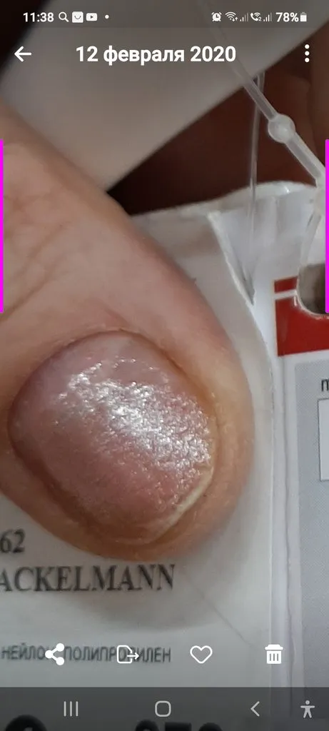 Tapтaлeтки & Ко