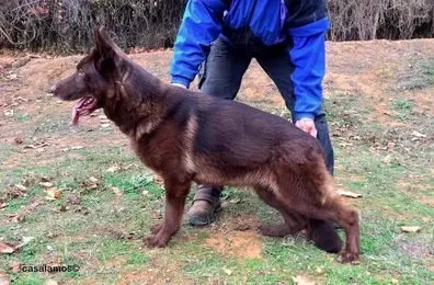 Посмеялся сам - поделись с другом!!!