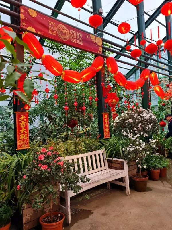 Фотонастроение