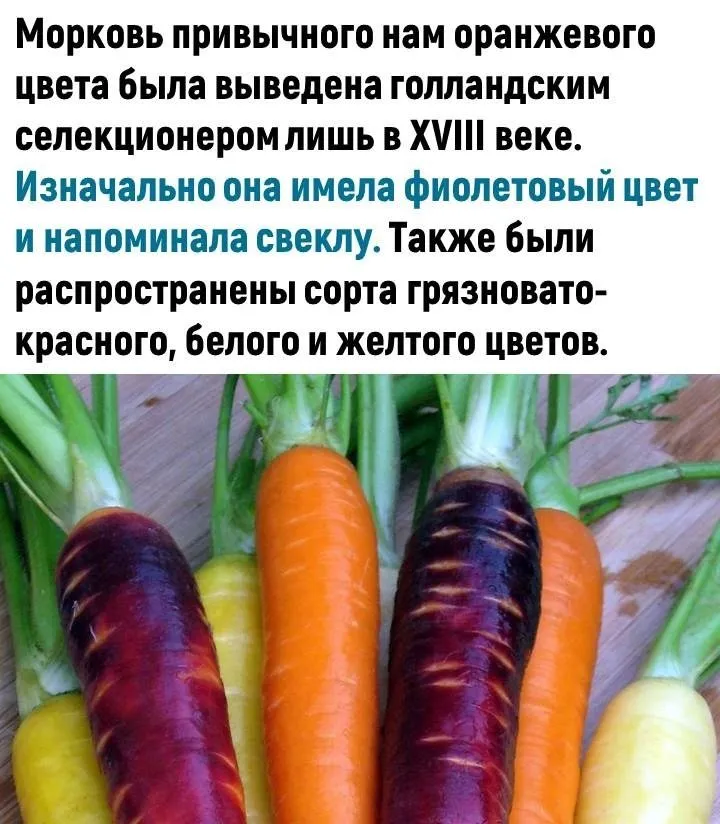 Это интересно!