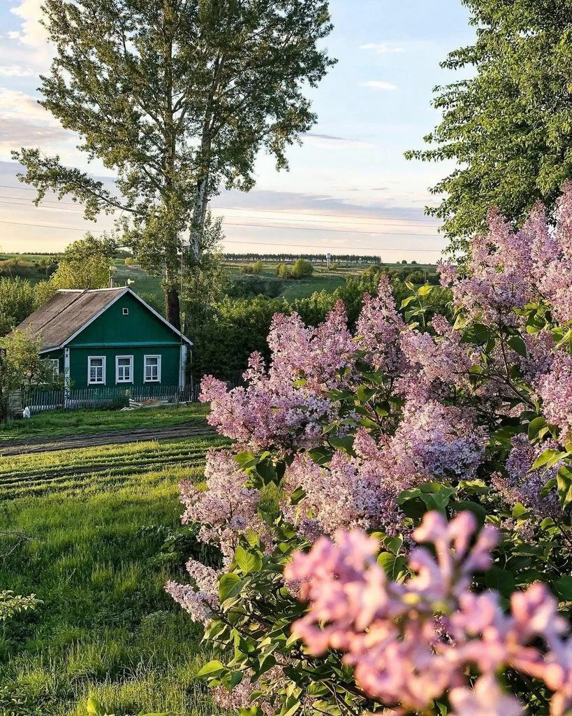 Чайная беседка