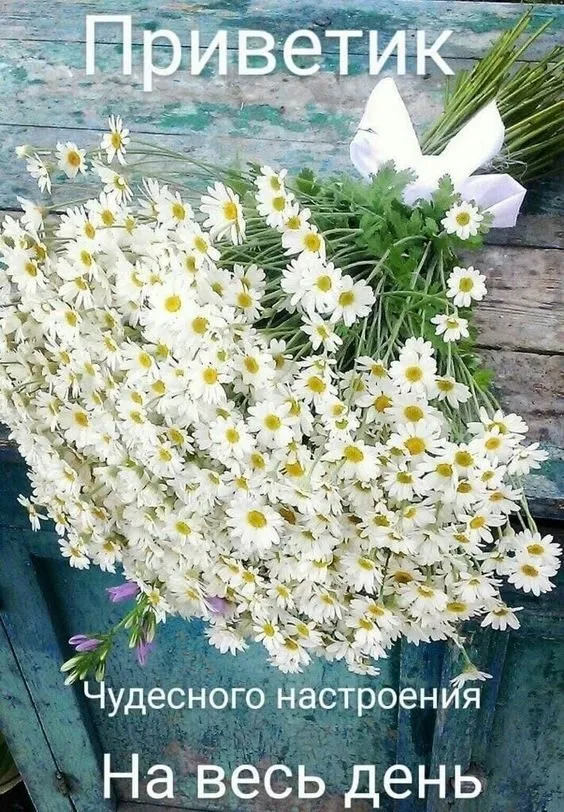 Tapтaлeтки & Ко