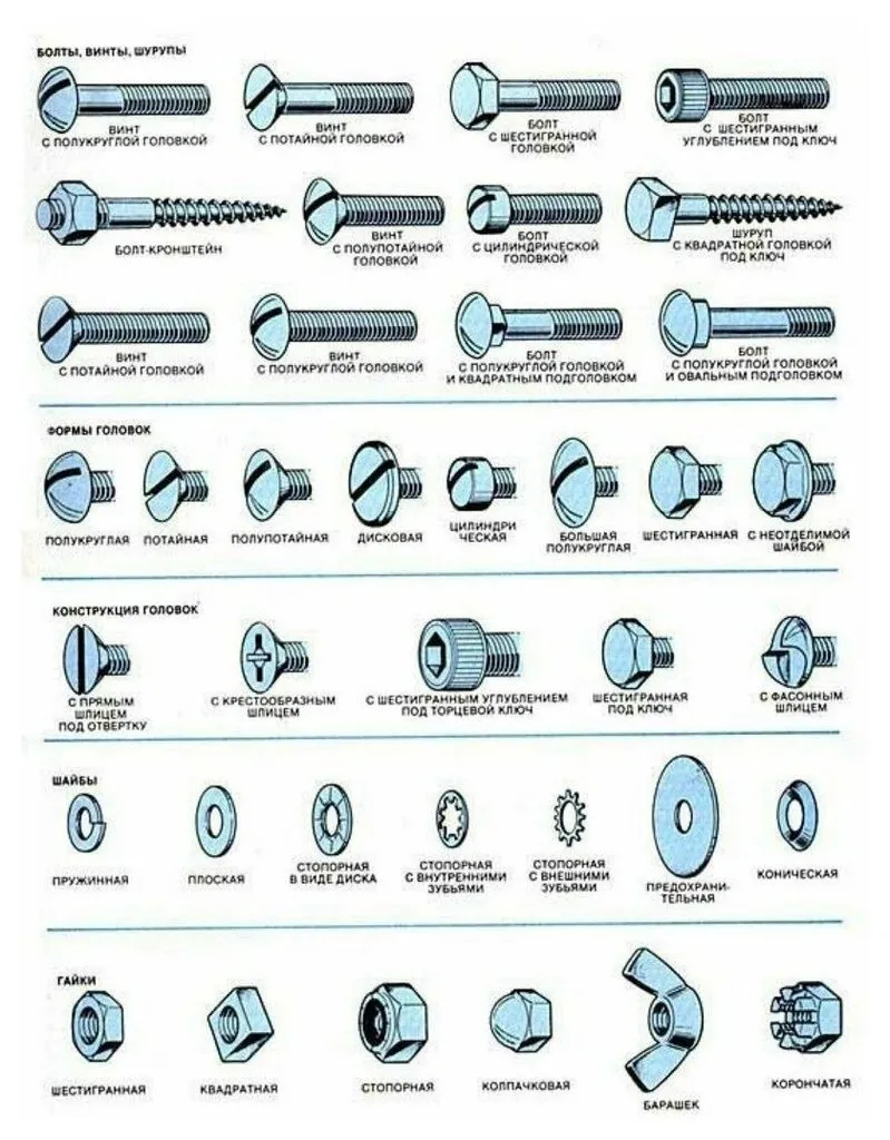 Домашняя инфографика