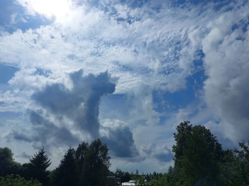 Такое разное небо