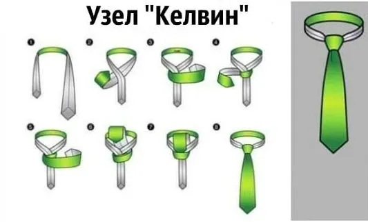 Домашняя инфографика