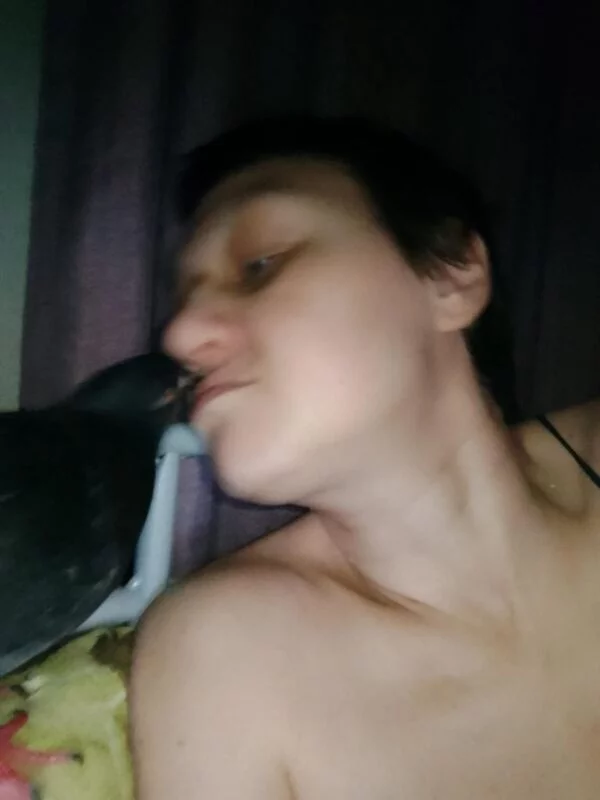 Tapтaлeтки & Ко