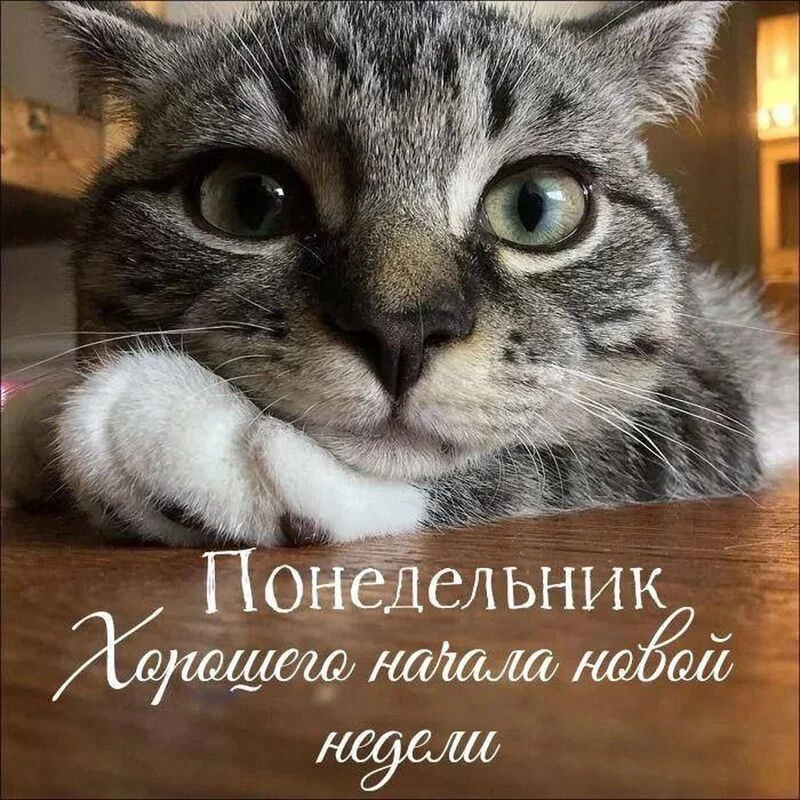 Кафе "У пани Сони"