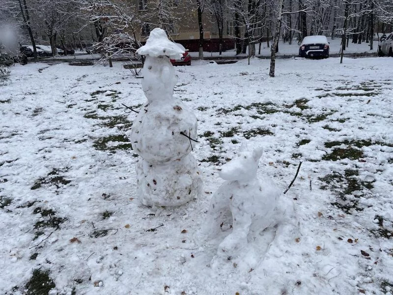 Чайная беседка