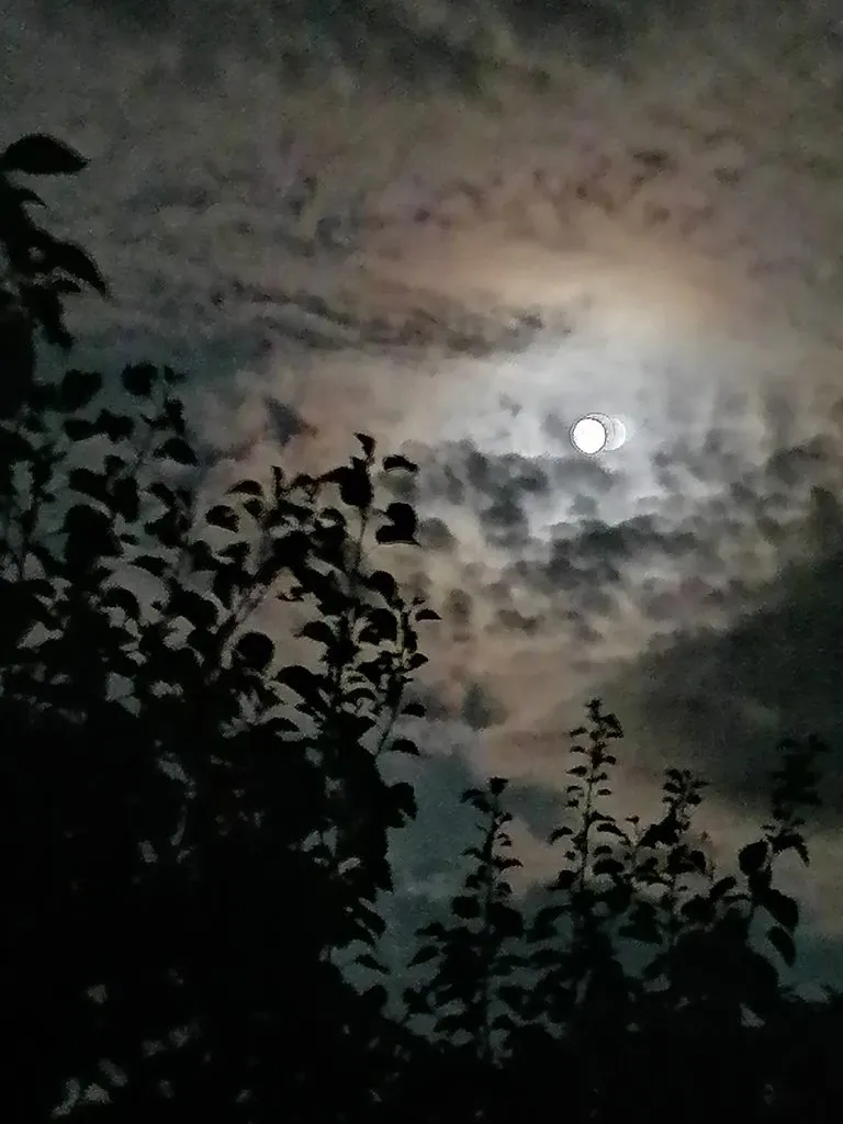 Чайная беседка