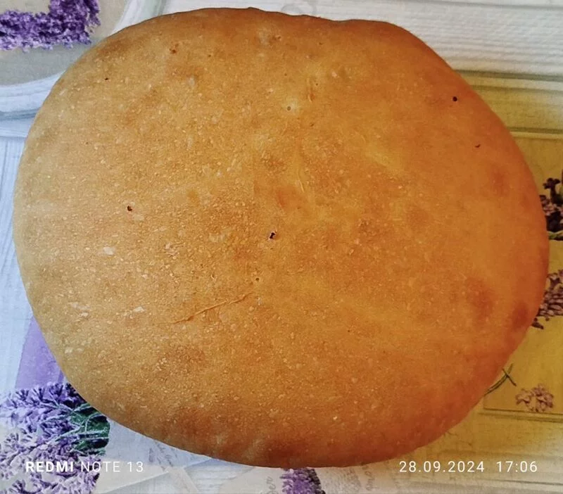 Tapтaлeтки & Ко