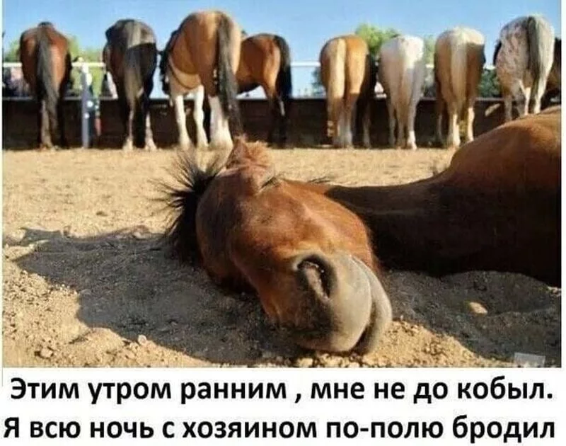 Посмеялся сам - поделись с другом!!!