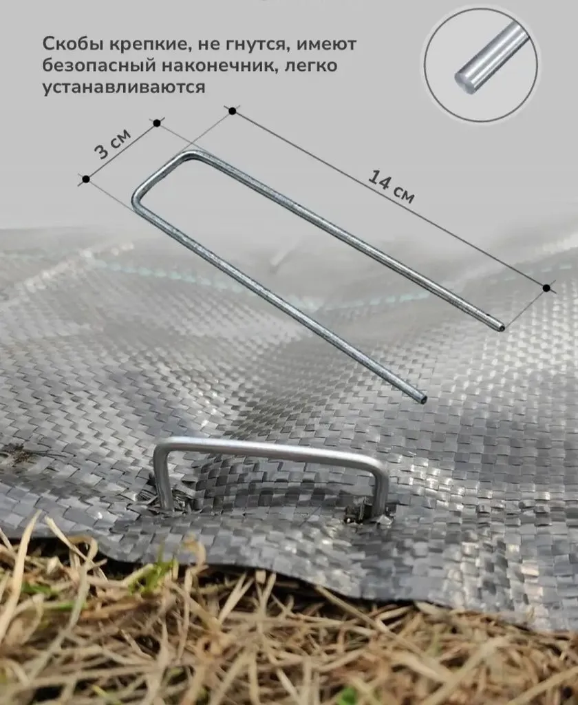 Курятник