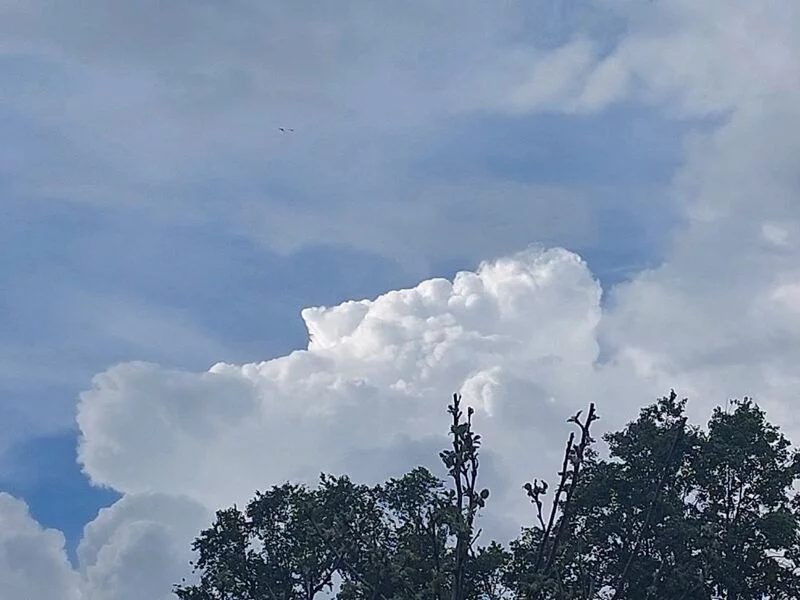 Такое разное небо